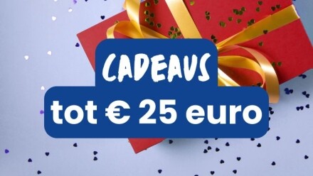 Sinterklaascadeaus tot 25 euro