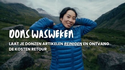 Donswasweken