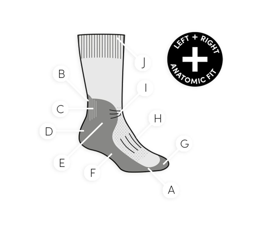 schematische voorstelling sok