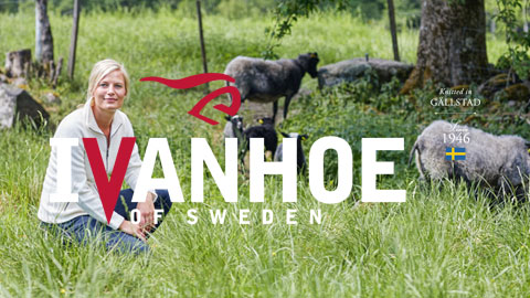 Ivanhoe