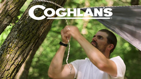 Coghlan's