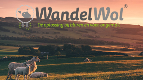 WandelWol