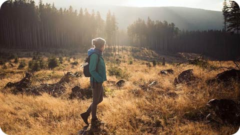 Alles voor een fijne wandeling Alles voor een fijne wandeling