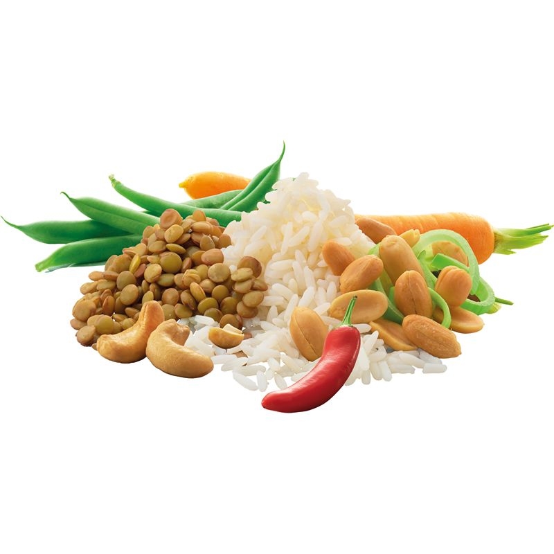 Adventure food Nasi Cashew 1 portie .