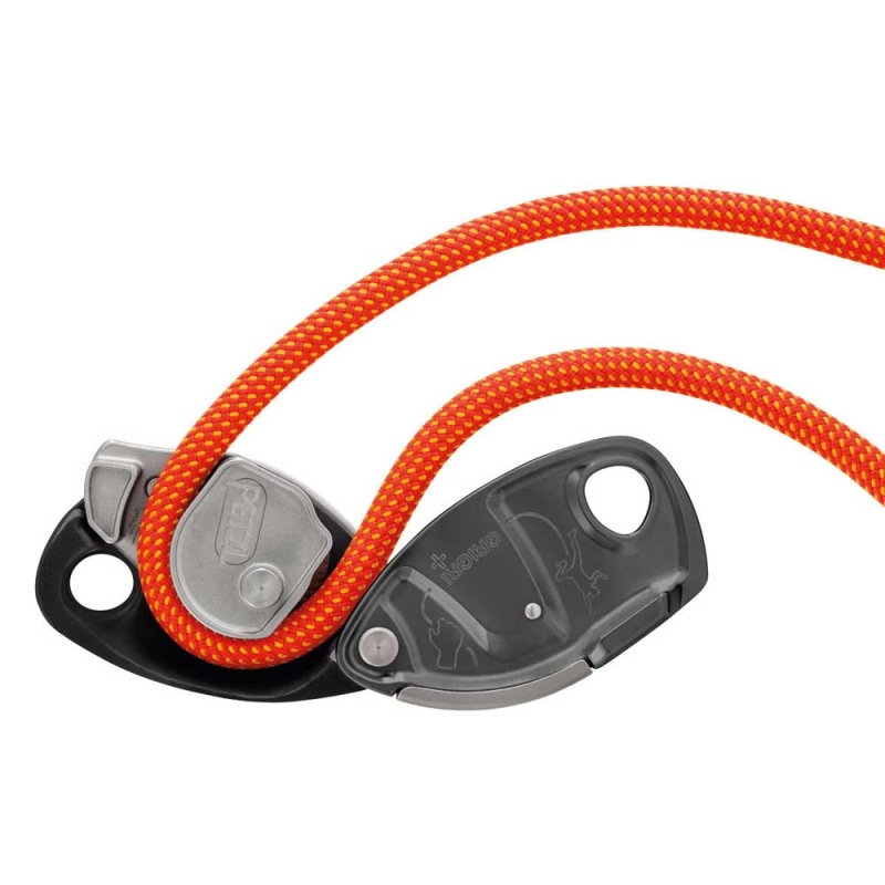 Petzl Grigri + Grey