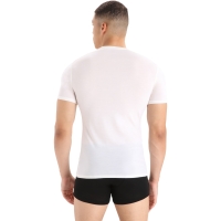 Icebreaker Anatomica Short Sleeve Crewe snow