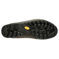 La Sportiva Trango Tower GTX Women's Light Grey / Berry