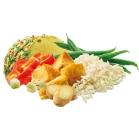 Adventure food Chicken Curry 1 portie .