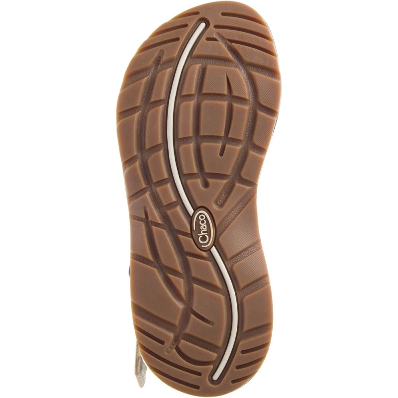 Chaco Z/Cloud X Women's Askew Angora