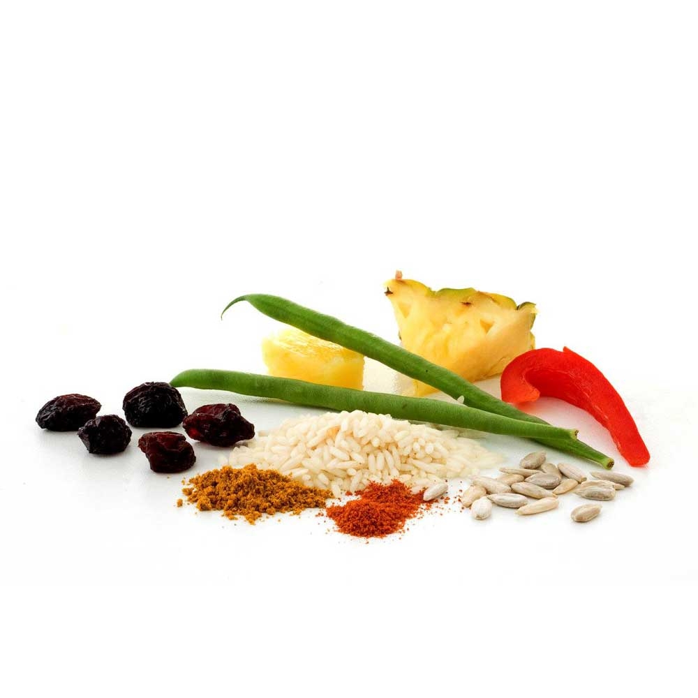 Adventure food Curry Fruit & Rice 1 portie . 1RF maaltijden en voedsel online bestellen bij Kathmandu Outdoor & Travel