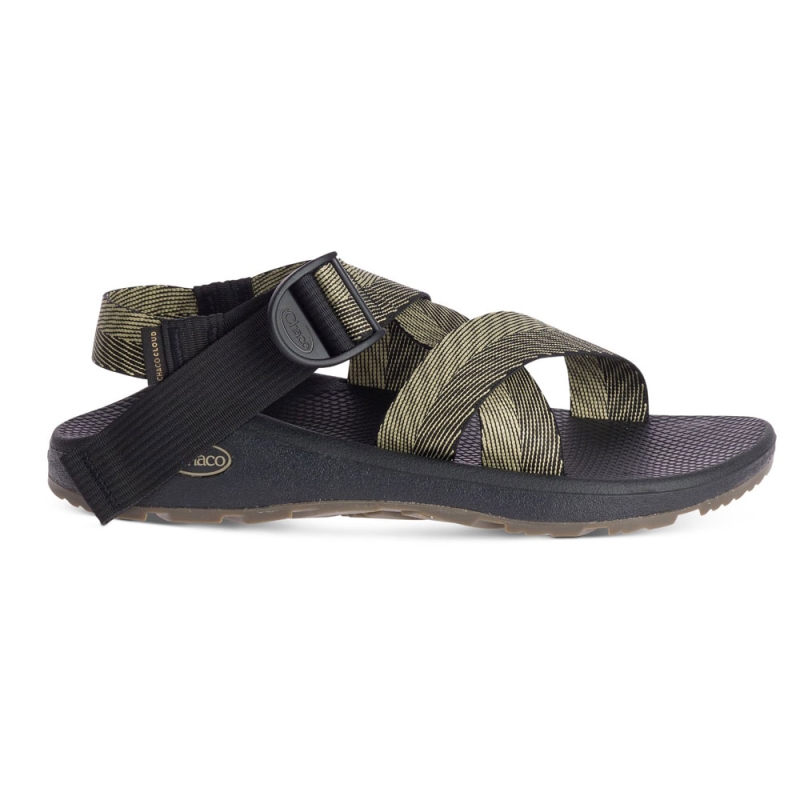 Chaco Mega Z/Cloud Odds Black