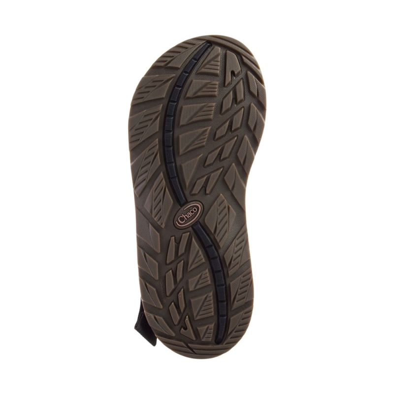 Chaco Mega Z/Cloud Odds Black