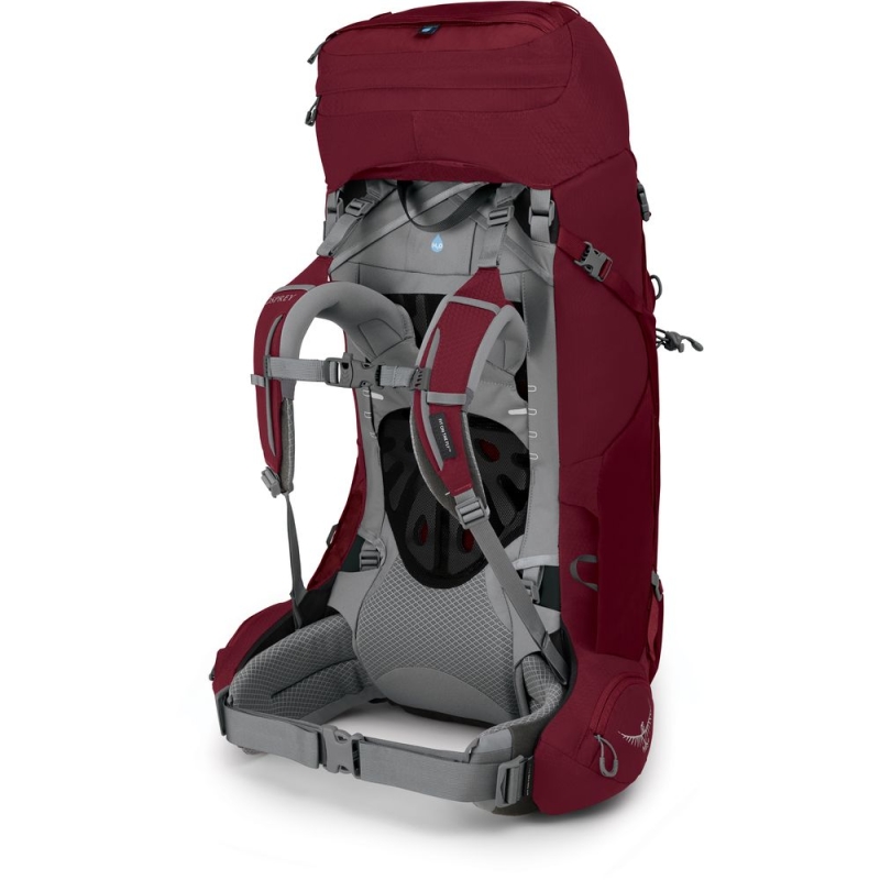 Osprey Ariel 55 M/L Women's Claret Red