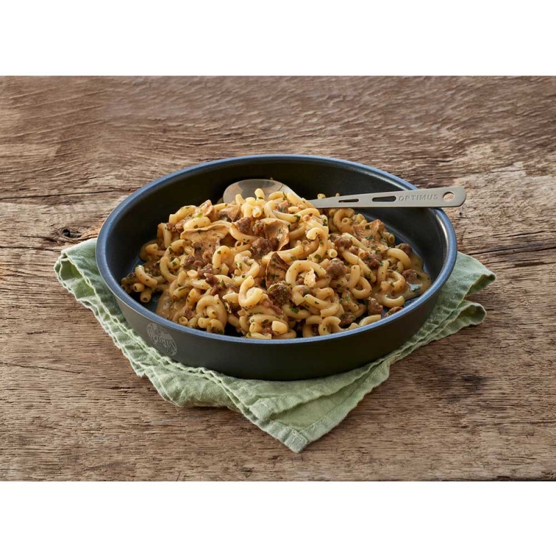 Trek n Eat Beef Casserole with Noodles
