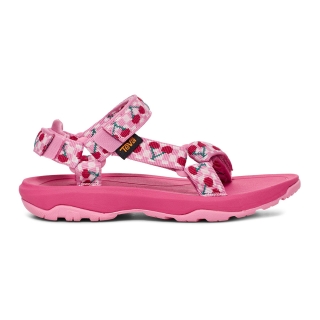 Teva Hurricane Xlt 2 Children Picnic Cherries Rosebloom/ Bri