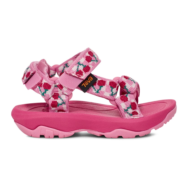 Teva Hurricane XLT 2 Toddler Picnic Cherries Rosebloom/ Bri