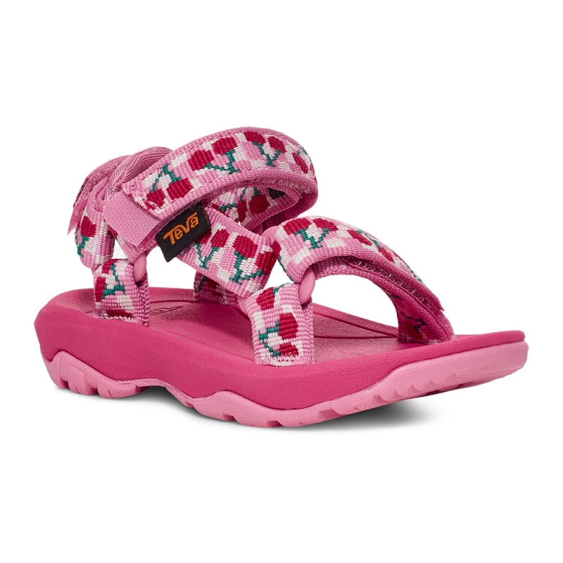 Teva Hurricane XLT 2 Toddler Picnic Cherries Rosebloom/ Bri