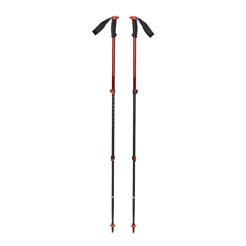 Black Diamond Trail Sport Trek Poles Octane