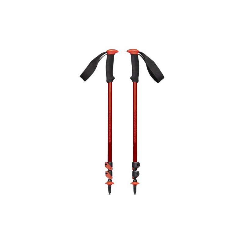 Black Diamond Trail Sport Trek Poles Octane