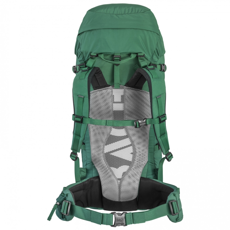 Bach Daydream 50 Pine Green