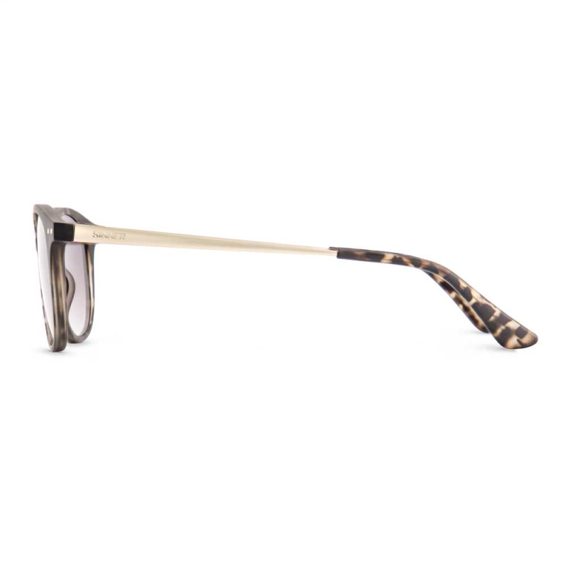 Sinner Tioga Black/Grey/Tortoise