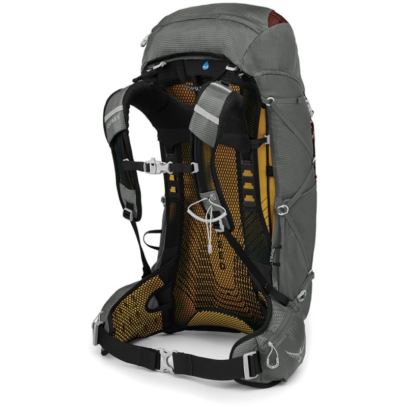 Osprey Eja 38 Women's Cloud Grey