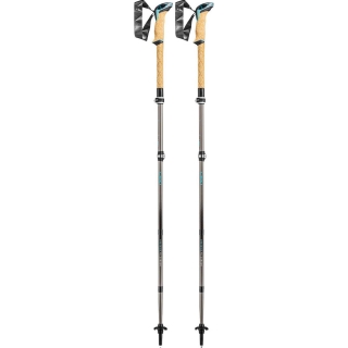 Leki Cressida FX Carbon Brown/Metallic/Mint
