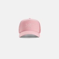 Arc'teryx Bird Trucker Curved Bliss
