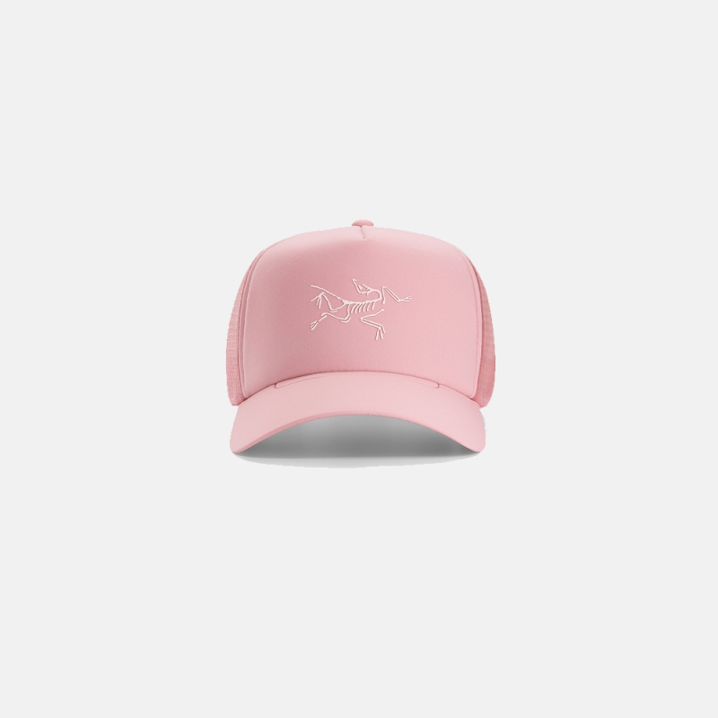 Arc'teryx Bird Trucker Curved Bliss