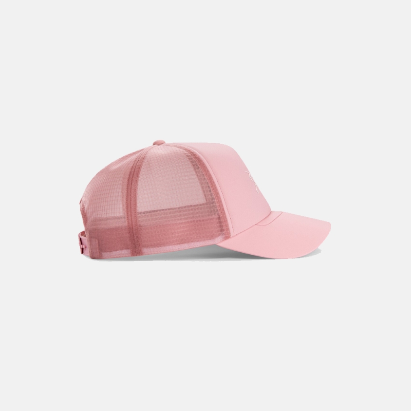 Arc'teryx Bird Trucker Curved Bliss