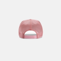 Arc'teryx Bird Trucker Curved Bliss