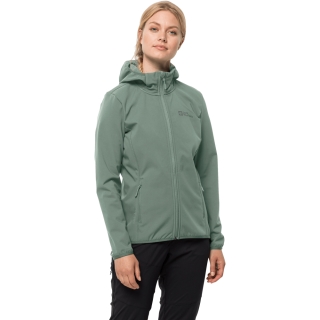 Jack Wolfskin Bornberg Hoody Women's picnic green