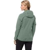 Jack Wolfskin Bornberg Hoody Women's picnic green