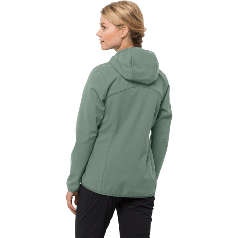 Jack Wolfskin Bornberg Hoody Women's picnic green