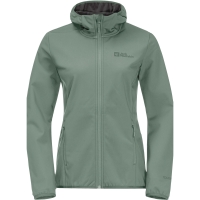 Jack Wolfskin Bornberg Hoody Women's picnic green