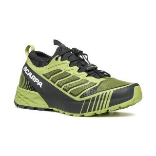 Scarpa Ribelle Run Women's LightGreen/Green