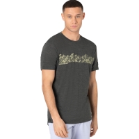 Super Natural Contour Tee Pirate Grey Melange/Goldfinch