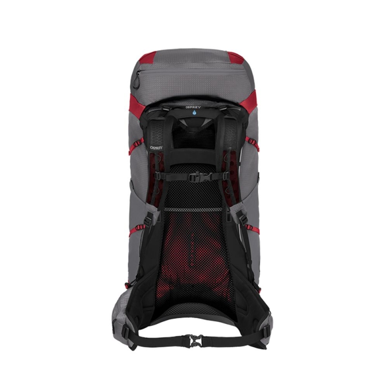 Osprey Eja Pro 55 Woman's XS/S Dale Grey/Poinsettia Red