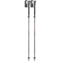 Leki Legacy FX TA SilverG/bRed/Black