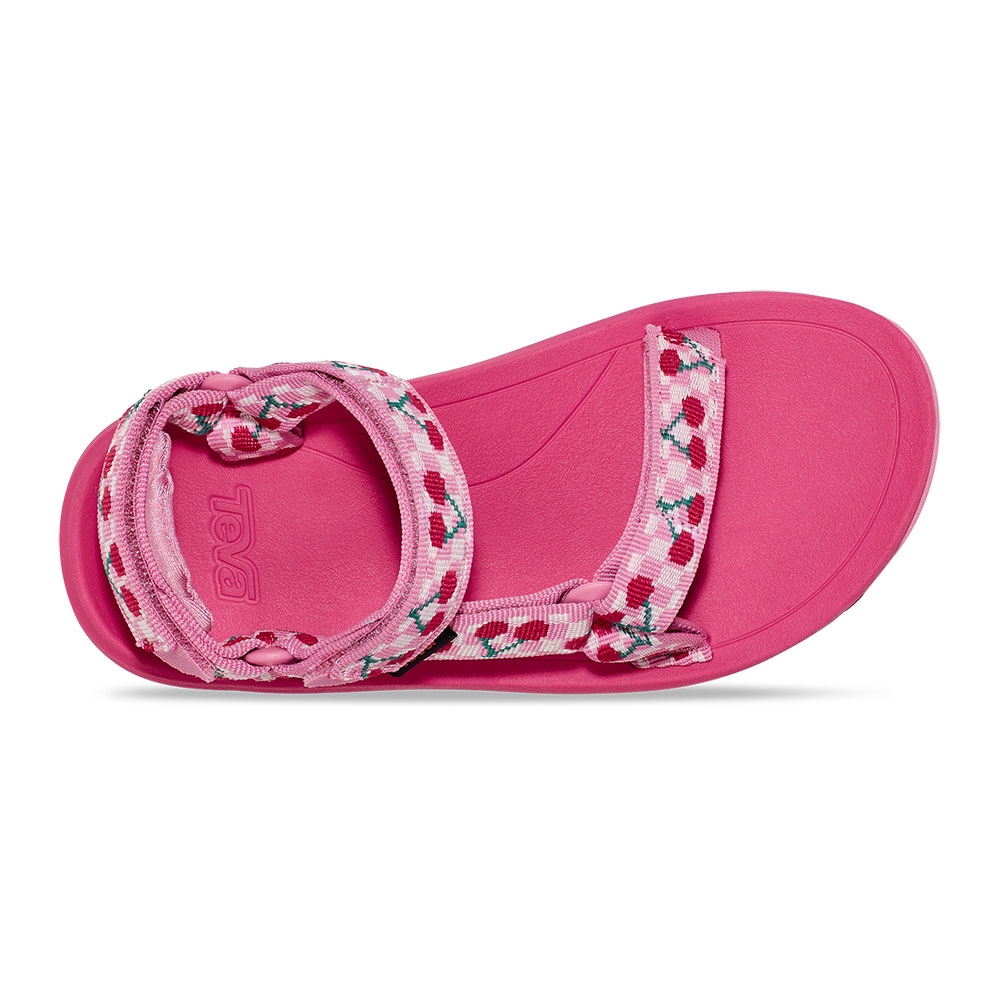 Teva Hurricane Xlt 2 Children Picnic Cherries Rosebloom/ Bri 1019390C-PCRBW sandalen online bestellen bij Kathmandu Outdoor & Travel