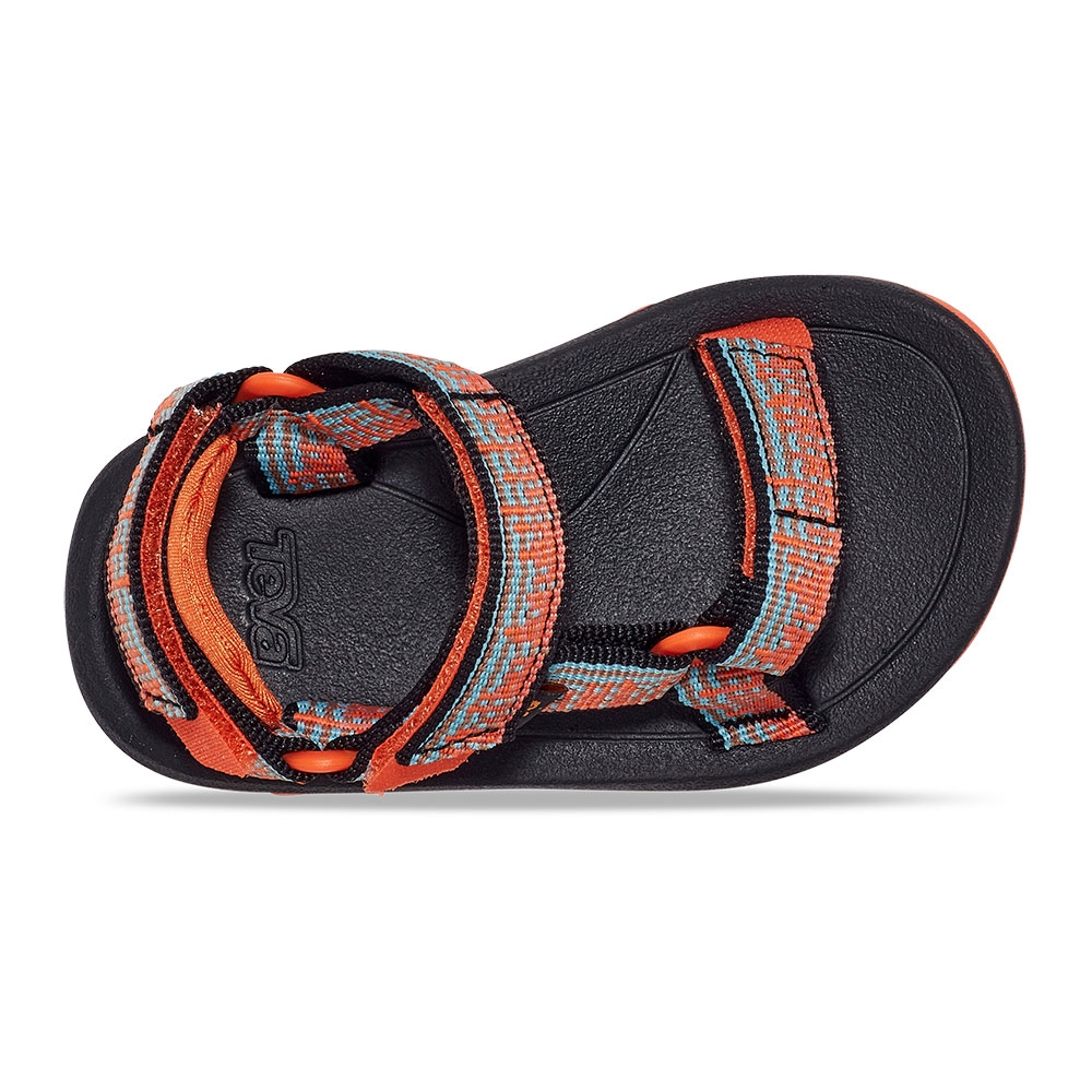 Teva Hurricane XLT 2 Toddler Atmosphere Carrot/ Blue Mirage 1019390T-ACBM sandalen online bestellen bij Kathmandu Outdoor & Travel