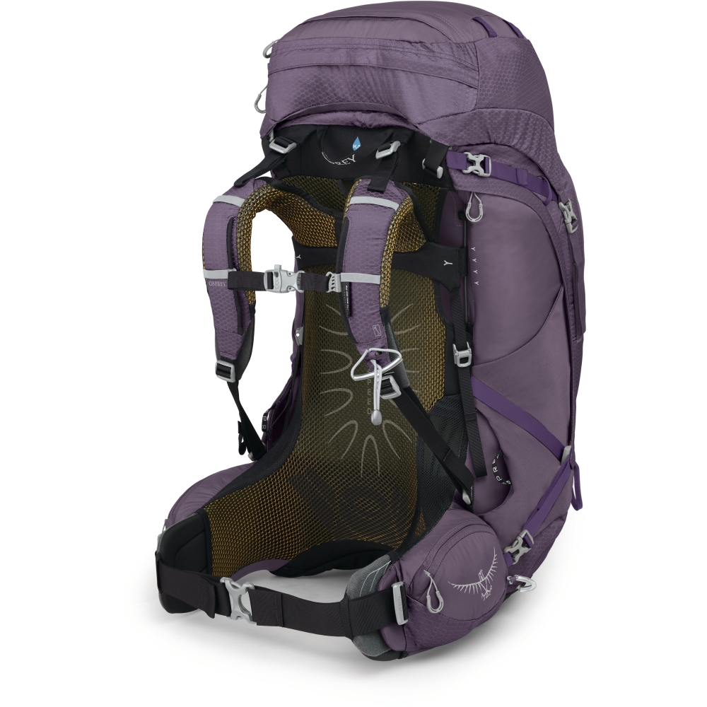Osprey Aura AG 65 Women's Enchantment Purple 1-177-474 trekkingrugzakken online bestellen bij Kathmandu Outdoor & Travel