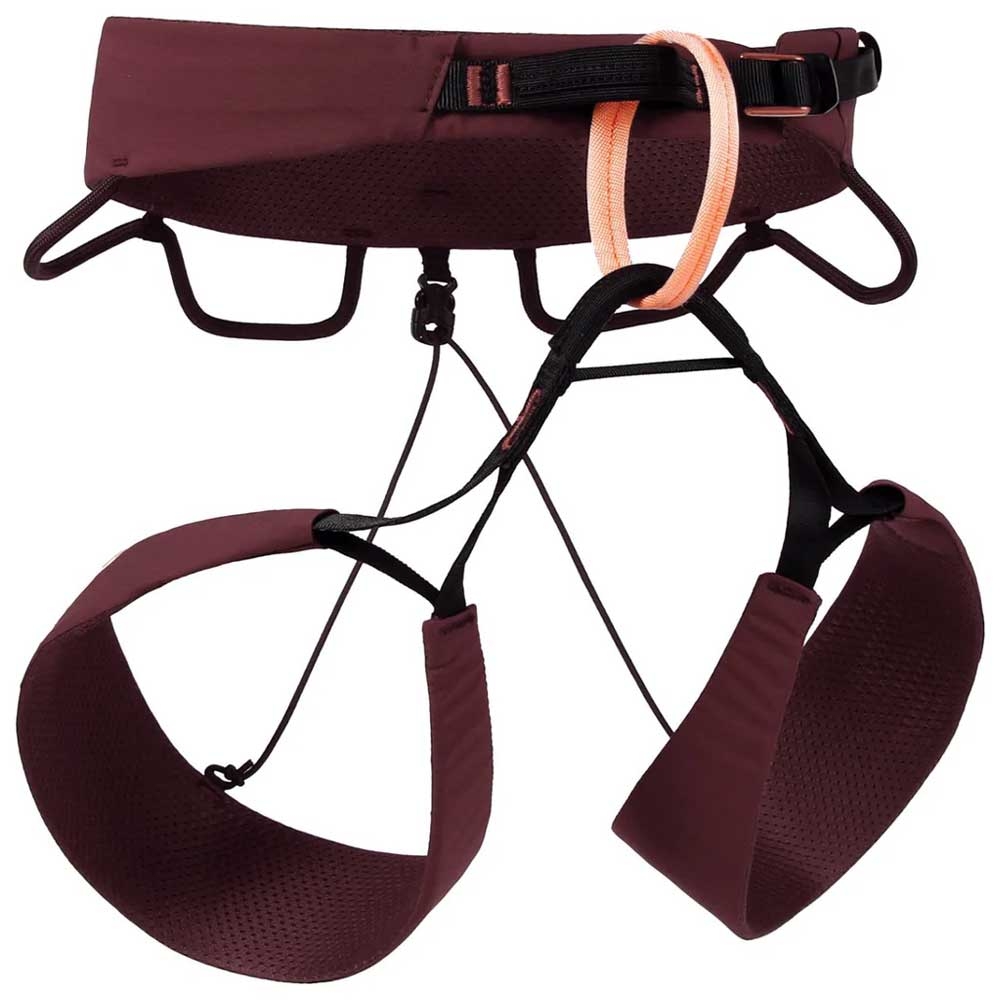 Blue Ice Cuetsa Harness Women's Decadent Chocolate 100278-CHO klimgordels online bestellen bij Kathmandu Outdoor & Travel