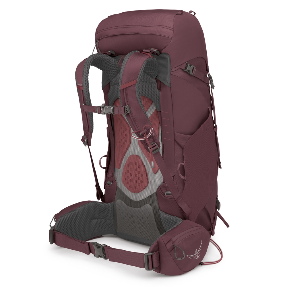Osprey Kyte 38 Women's Elderberry Purple 3017-214 dagrugzakken online bestellen bij Kathmandu Outdoor & Travel
