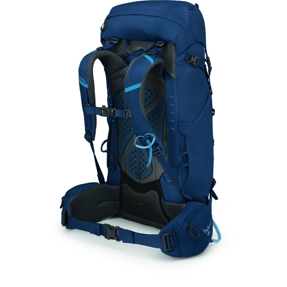 Osprey Kestrel 38 Atlas Blue 3013-517 dagrugzakken online bestellen bij Kathmandu Outdoor & Travel