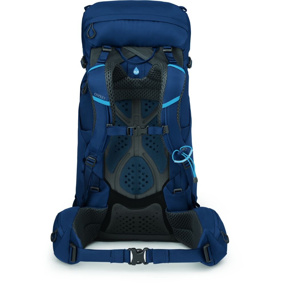 Osprey Kestrel 38 Atlas Blue 3013-517 dagrugzakken online bestellen bij Kathmandu Outdoor & Travel
