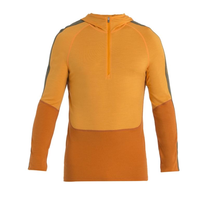Icebreaker Mer 200 Sonebula LS Half Zip Hood Eart/Solar/Loden