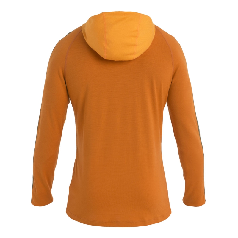 Icebreaker Mer 200 Sonebula LS Half Zip Hood Eart/Solar/Loden