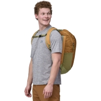 Patagonia Black Hole Pack 25L Pufferfish Gold