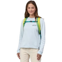 Patagonia Black Hole Pack 25L Phosphorus Green